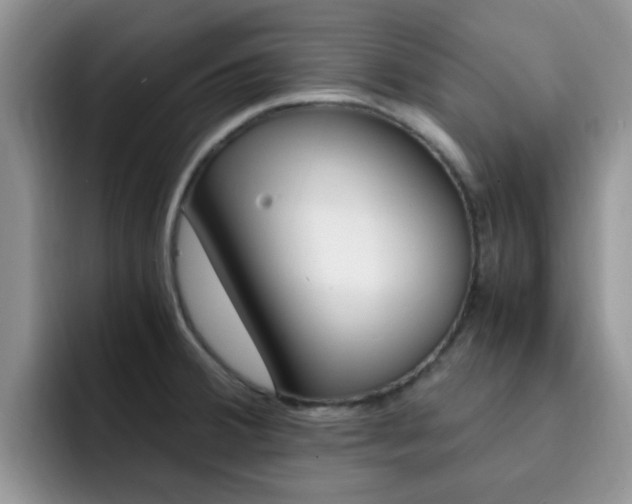 X0000092281380200709140915