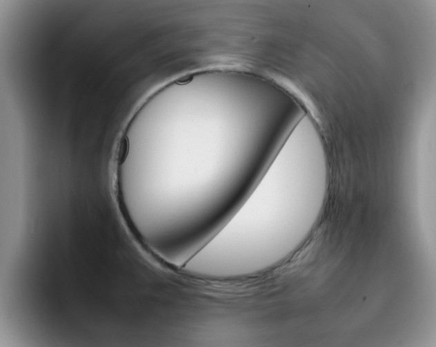X0000092281383200709140915
