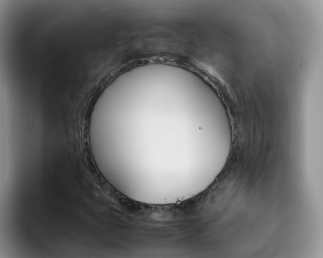 X0000092281399200709140914