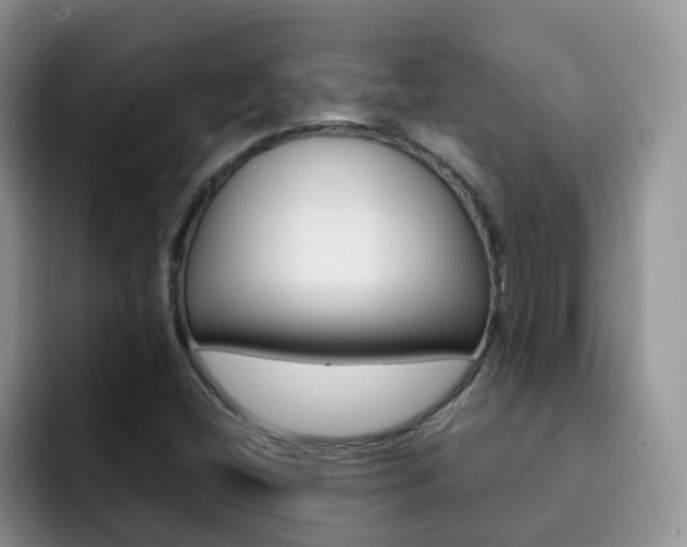 X0000092281404200709140914