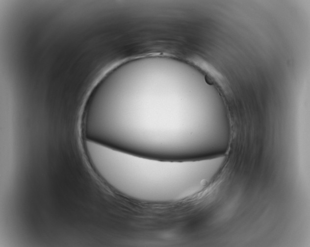 X0000092281423200709140914