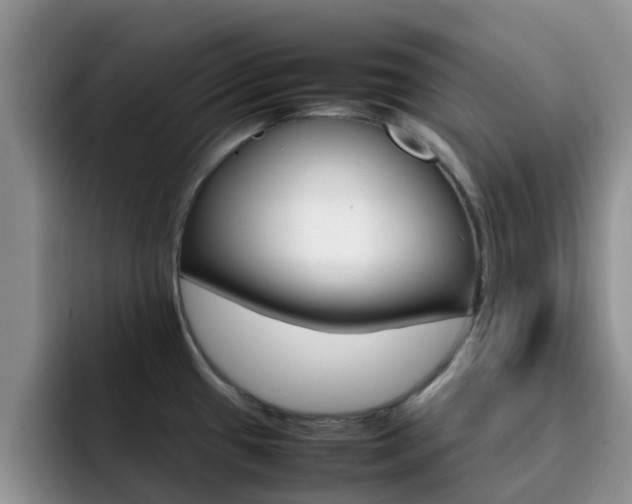 X0000092281433200709140914