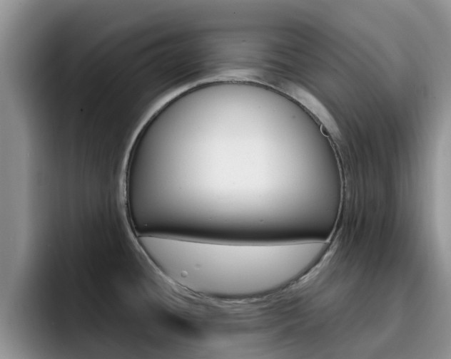 X0000092281436200709140914