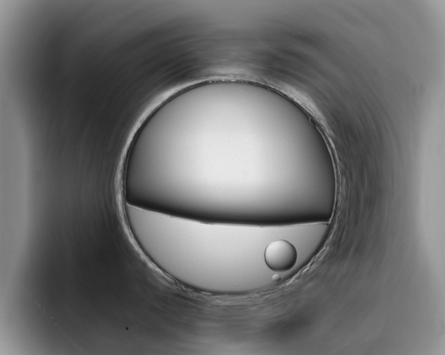 X0000092281440200709140914