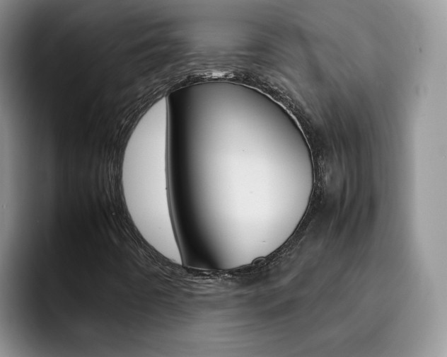 X0000092281442200709140914