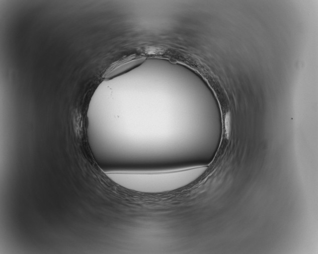 X0000092281443200709140914