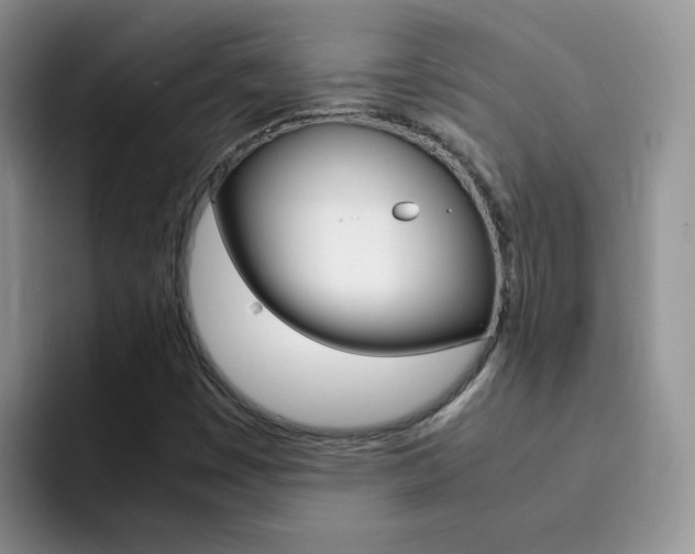X0000092281449200709140914