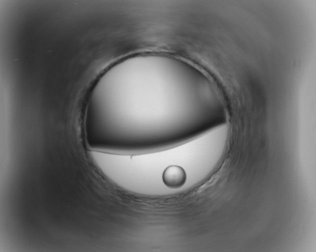 X0000092281455200709140914