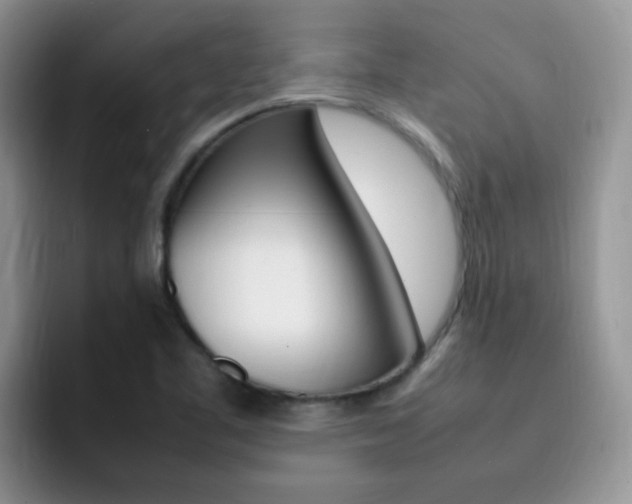 X0000092281461200709140914