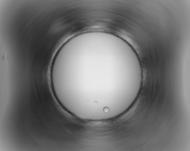 X0000092281474200709140913