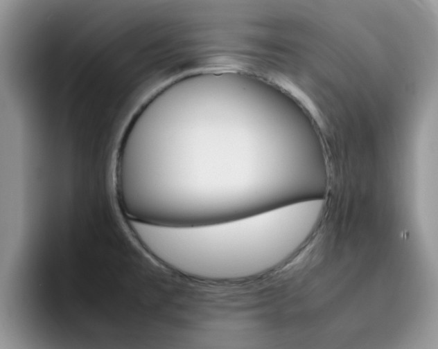 X0000092281477200709140913