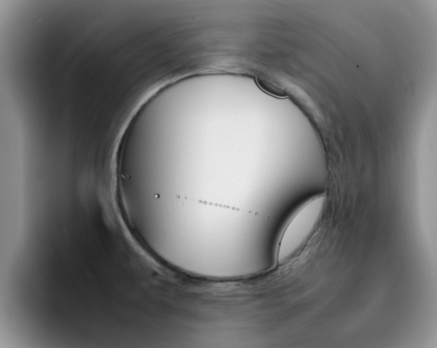 X0000092281479200709140913