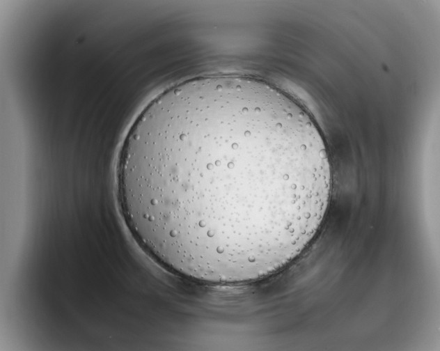 X0000092281483200709140913