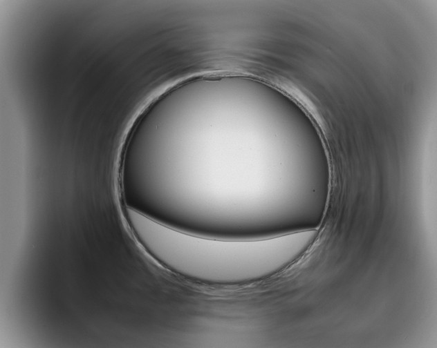 X0000092281485200709140913