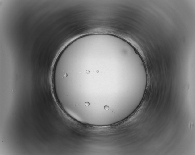 X0000092281486200709140913