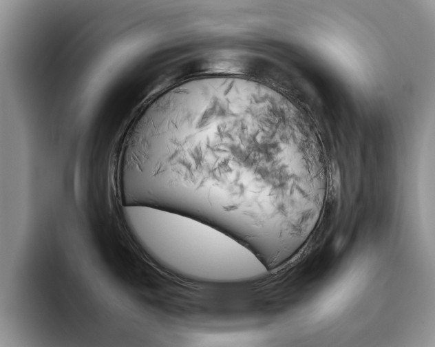 X0000092281487200709140913