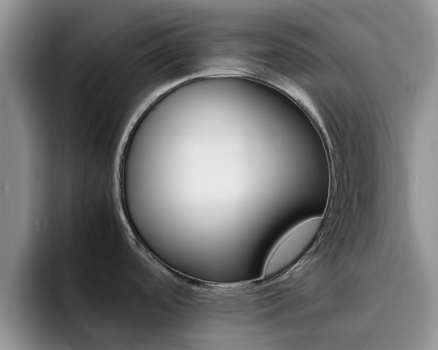 X0000092281488200709140913