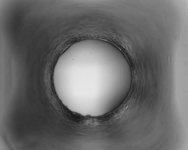 X0000092281489200709140913