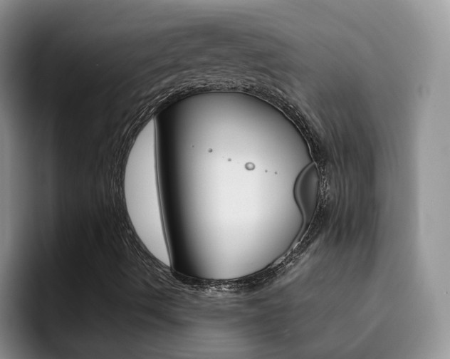 X0000092281490200709140913