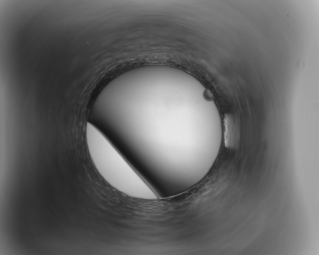 X0000092281491200709140913