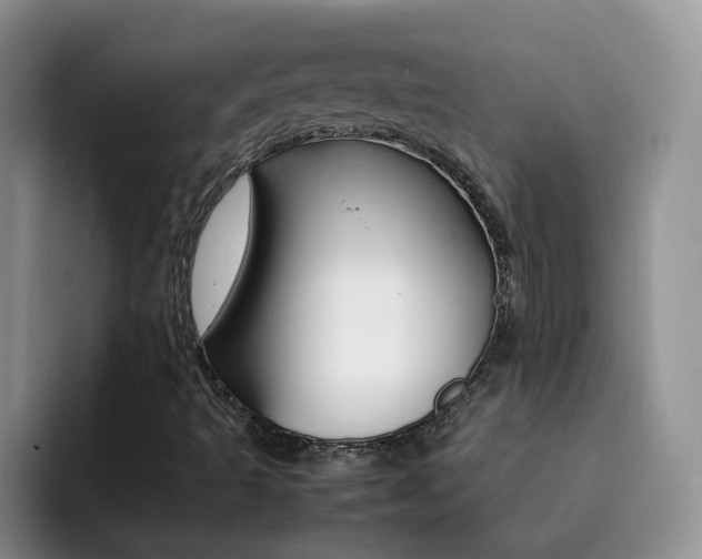 X0000092281493200709140913