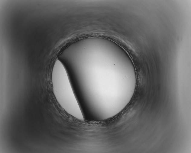 X0000092281494200709140913