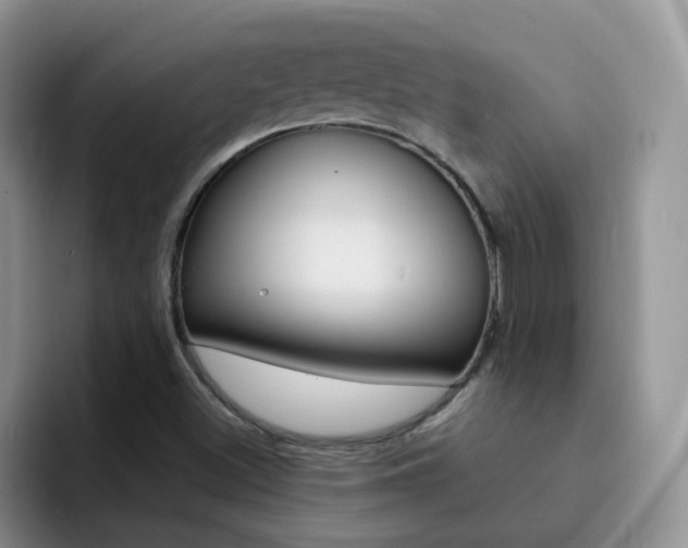 X0000092281500200709140913