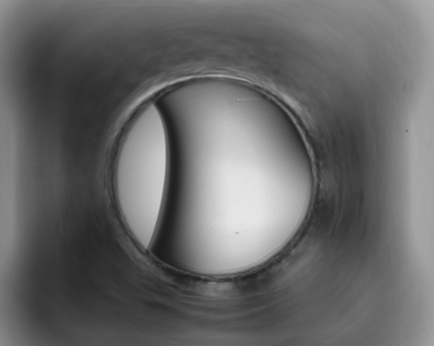 X0000092281503200709140913