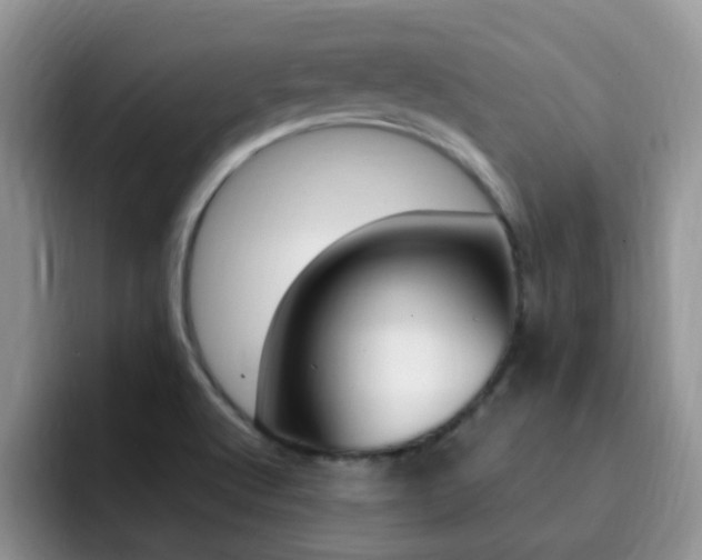 X0000092281512200709140913