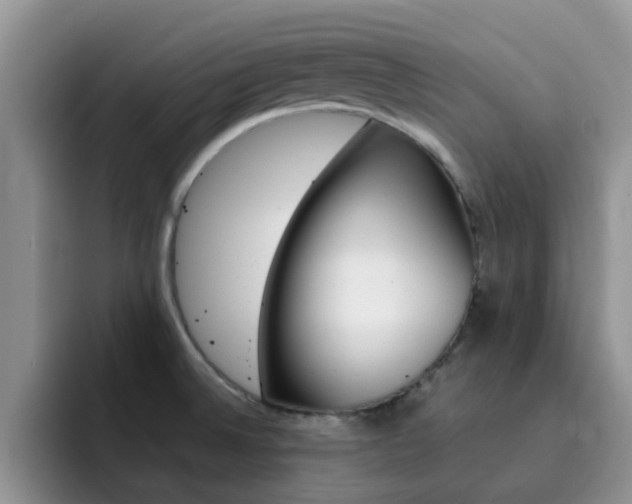 X0000092281524200709140913