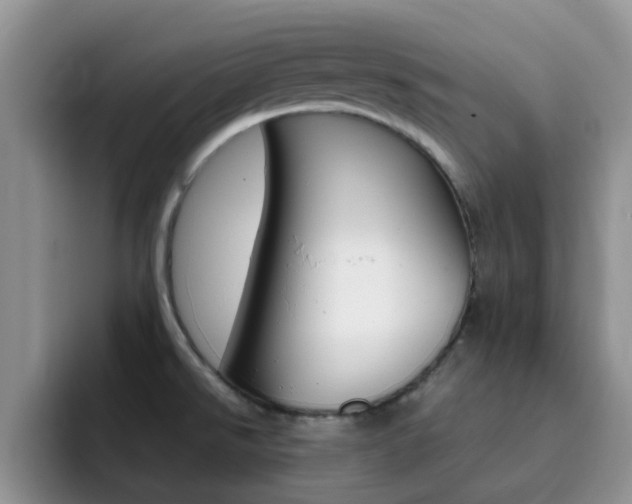 X0000092281526200709140913