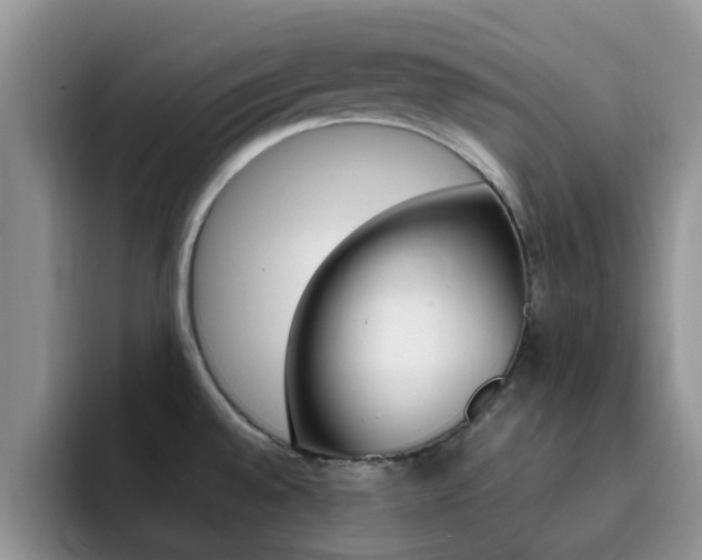 X0000092281528200709140913
