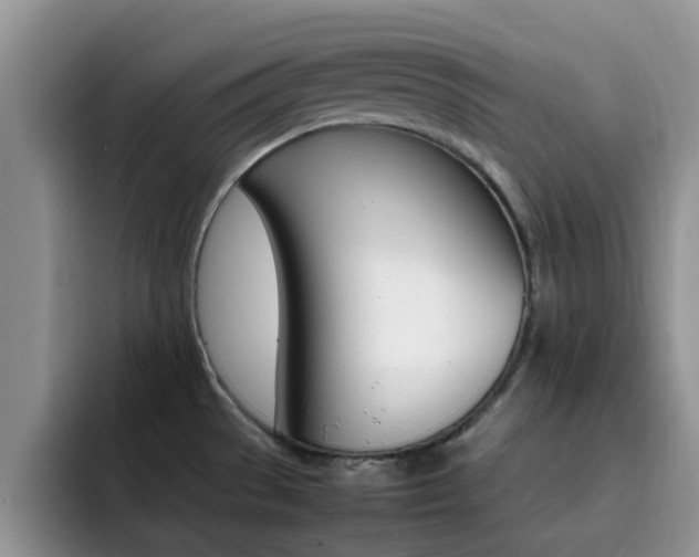 X0000092281529200709140913
