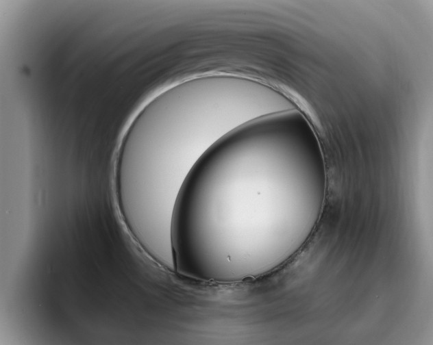 X0000092281530200709140913