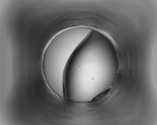 X0000092281532200709140913