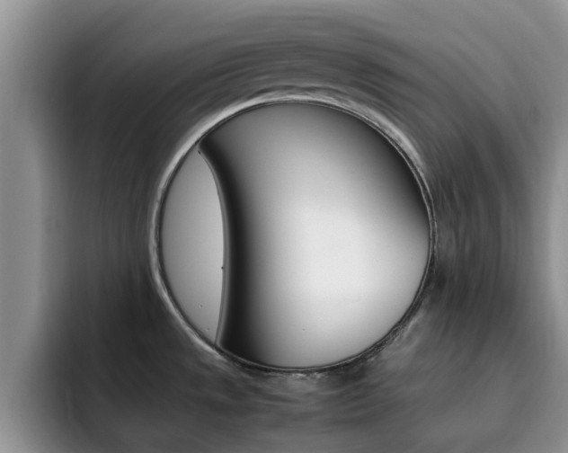 X0000092281533200709140913