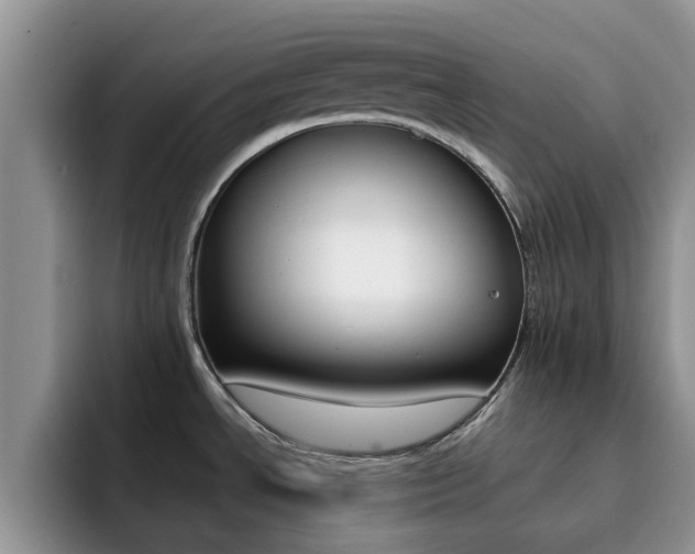 X0000092281534200709140913