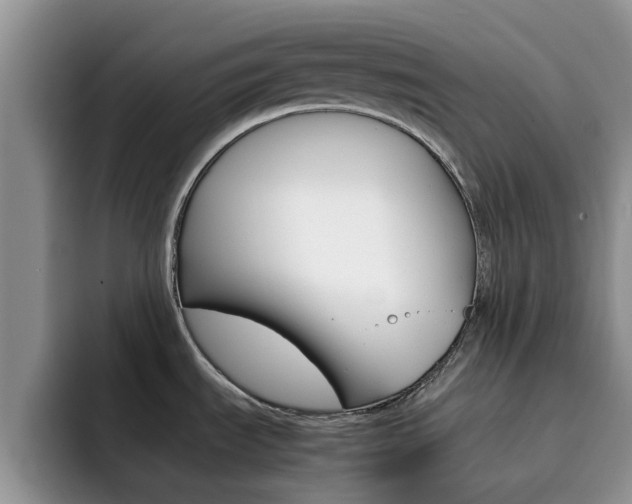X0000092281535200709140913