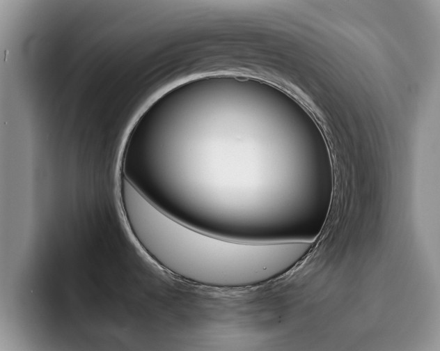 X0000092281536200709140913