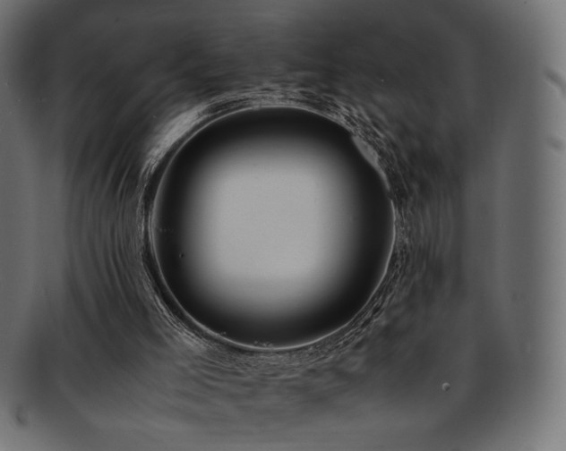 X0000092280005200709141230