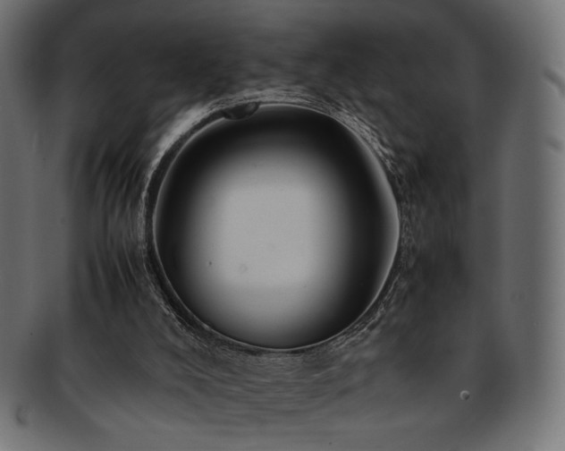 X0000092280008200709141230