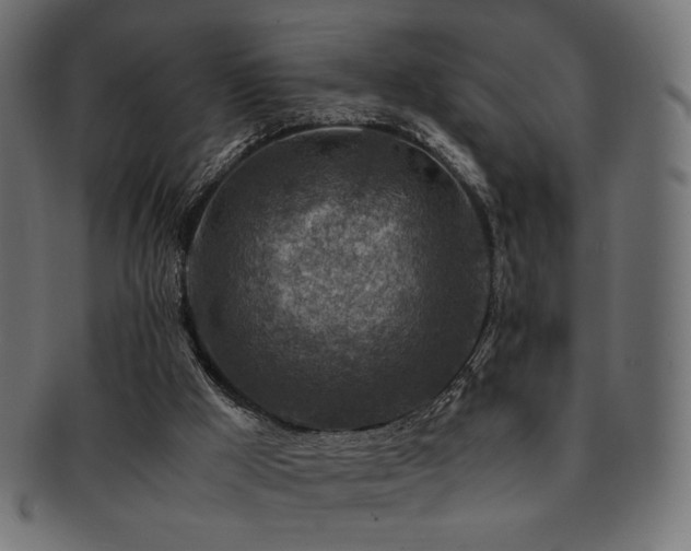 X0000092280009200709141230