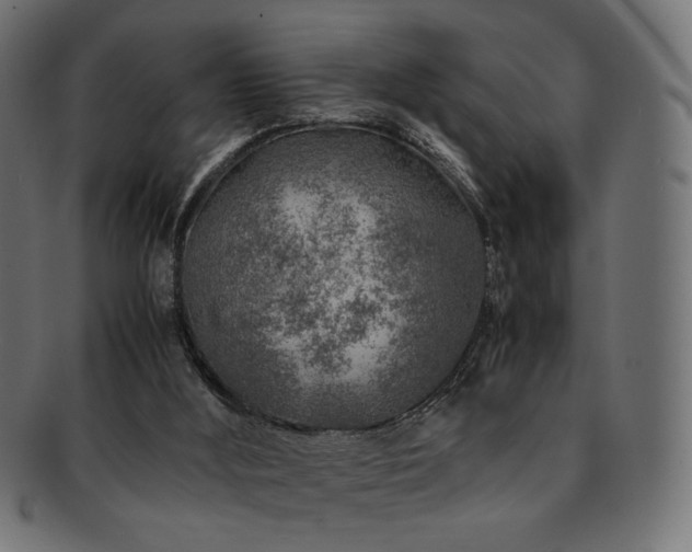 X0000092280012200709141230