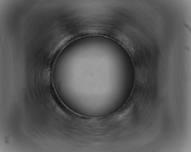 X0000092280016200709141230