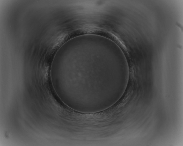 X0000092280018200709141230