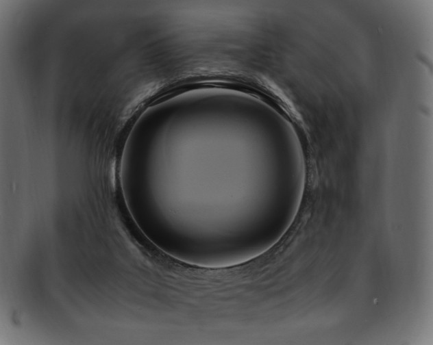 X0000092280019200709141230