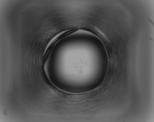 X0000092280025200709141230