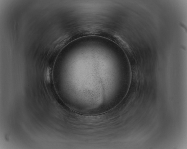 X0000092280026200709141230