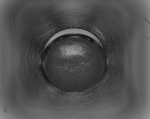 X0000092280029200709141230