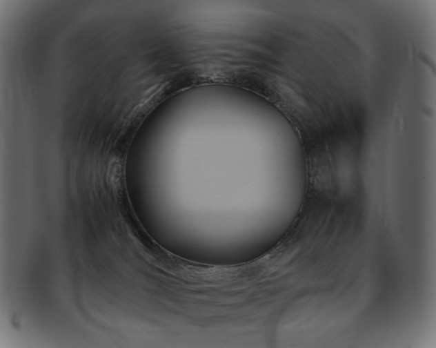 X0000092280036200709141230